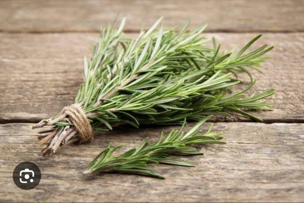 psicanalise terapia integrativa holistica taro oraculo hipnose vidas passadas thetahealing radiestesia apometria 24 5